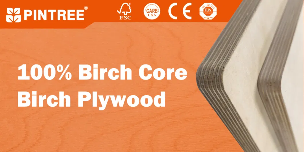18mm Phenolic Resin Coated 100% White Birch Plywood Board